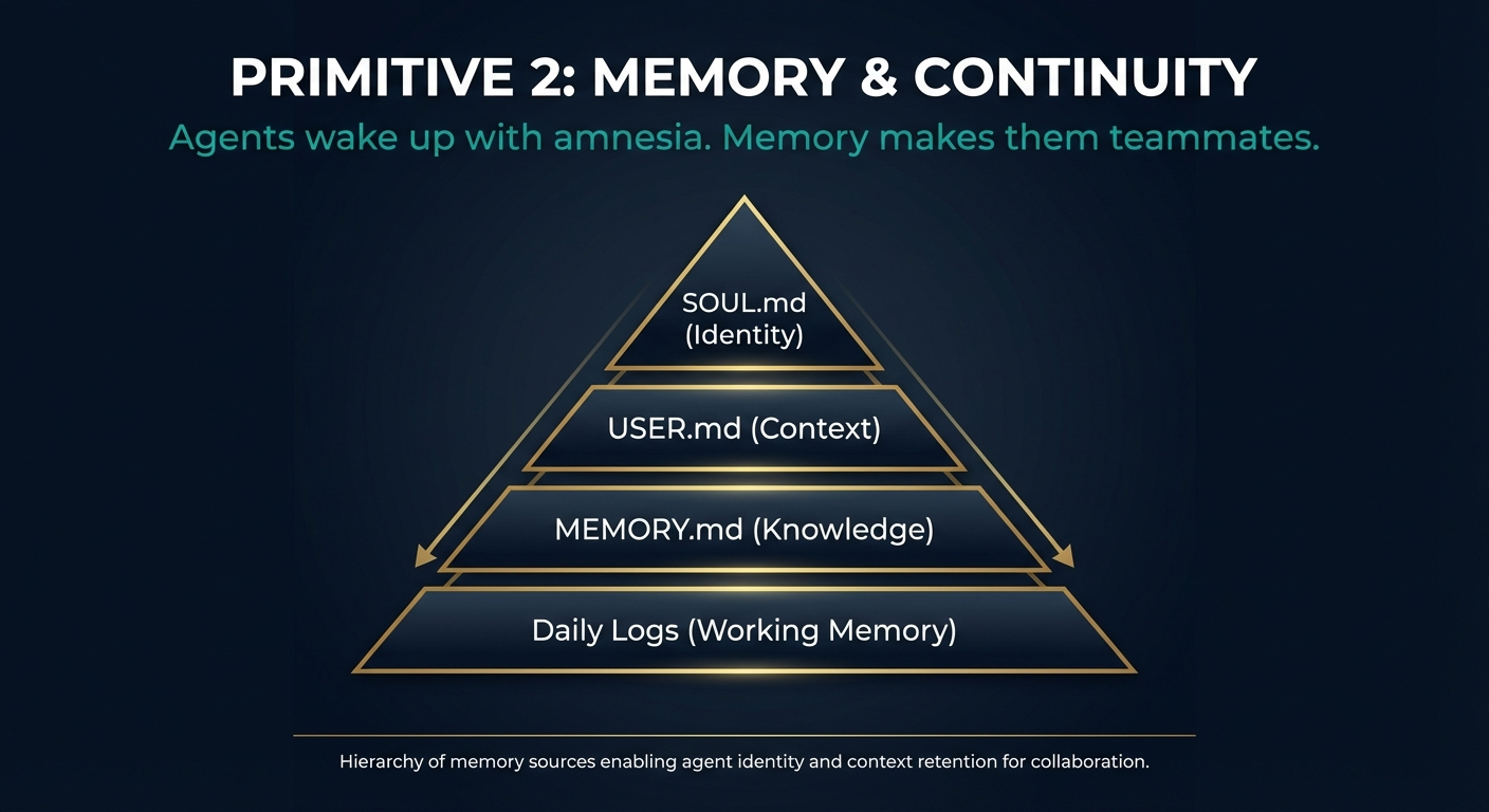 Memory & Continuity